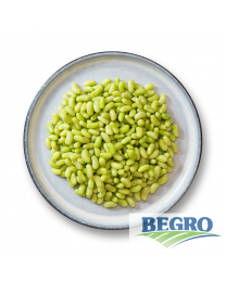 Begro Flageolet beans
