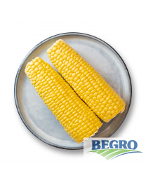 Begro Corn cobs