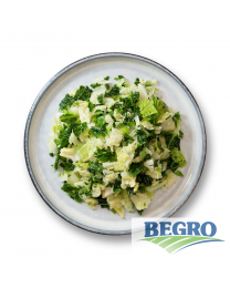 Begro Savoy cabbage