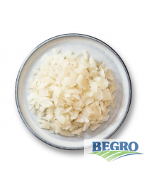 Begro White cabbage