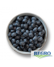 Begro Blueberries