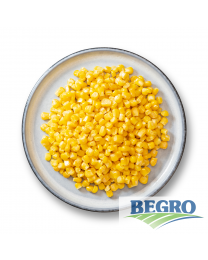 Begro Corn kernels
