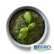 Begro Basilicum