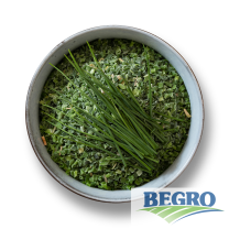 Begro Bieslook